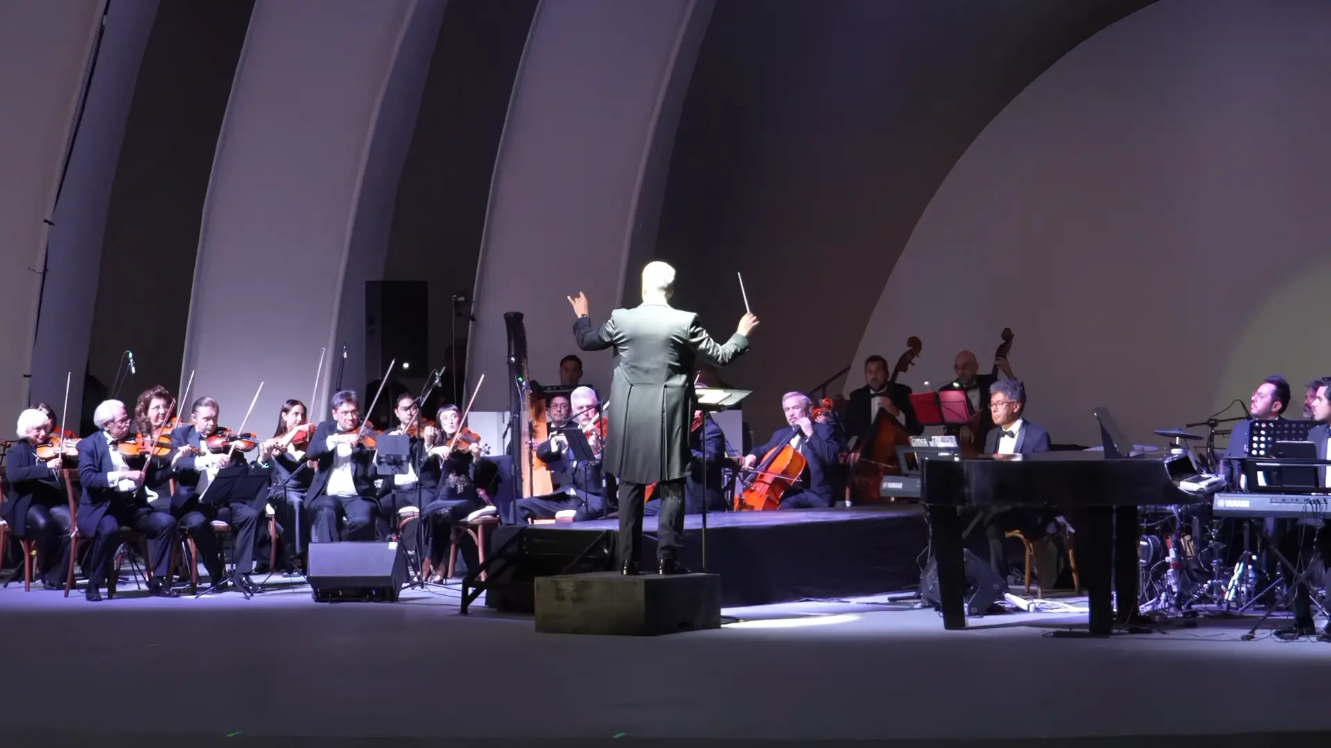Espectaculos Musicales 